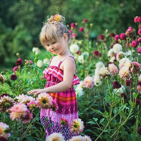 Soomaa Canoe Trips Centre