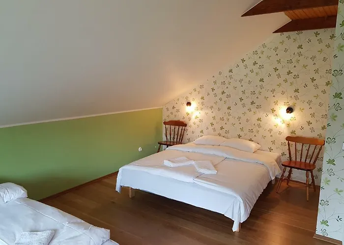 Soomaa Canoe Trips Centre Pensionat